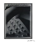 dailyPhoto9